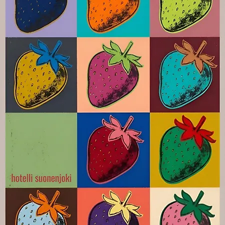 Hotelli Suonenjoki